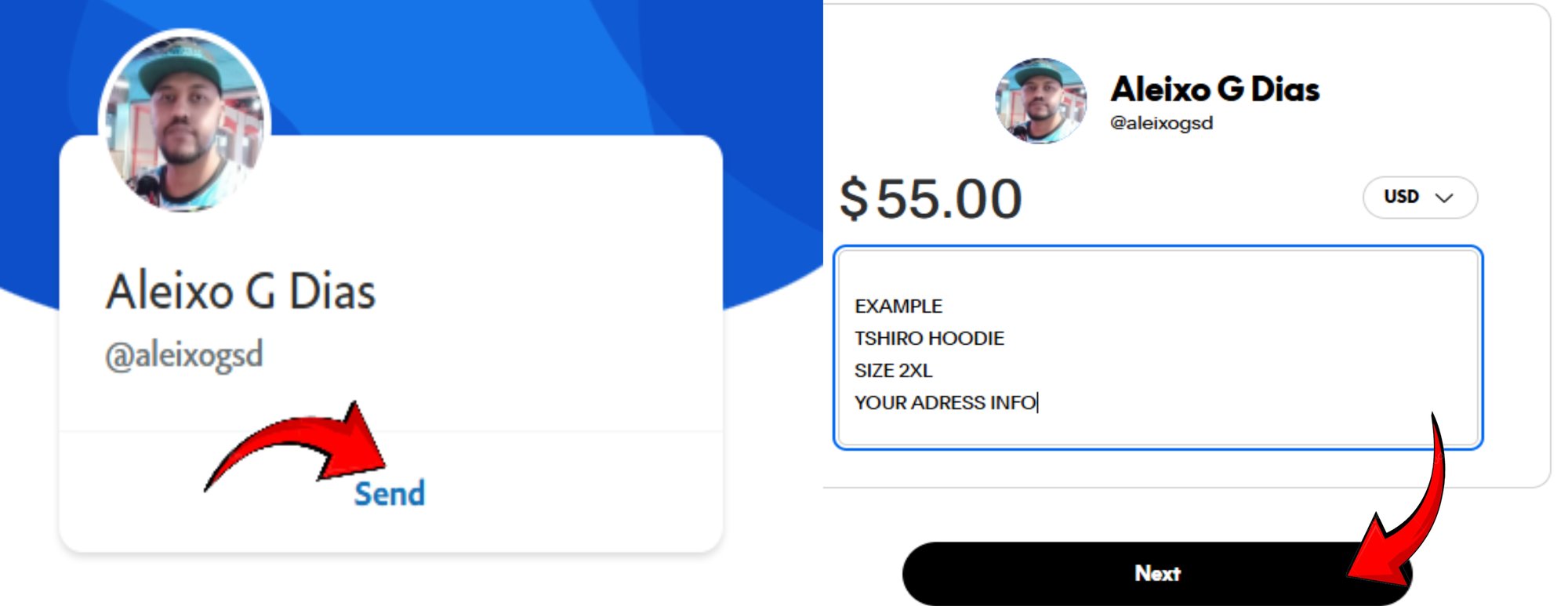 PAYPAL SEND NEXT PAYPAL SEND NEXT